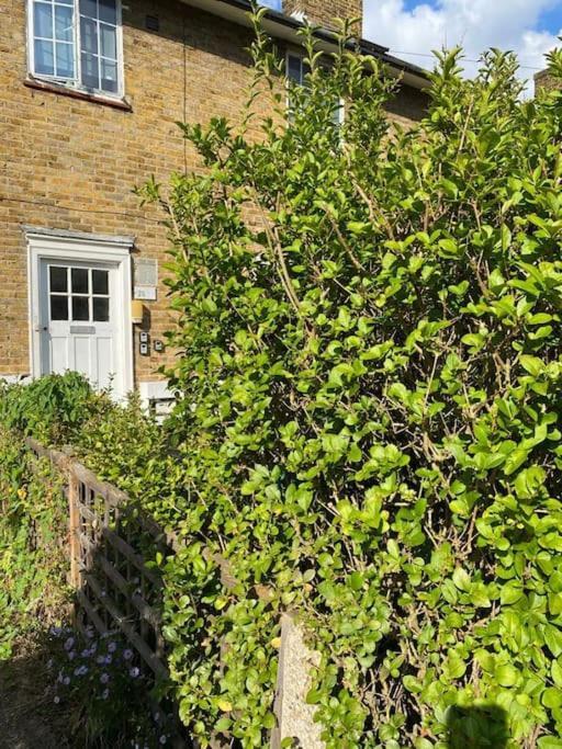One Bedroom Putney Village Flat Londres Exterior foto